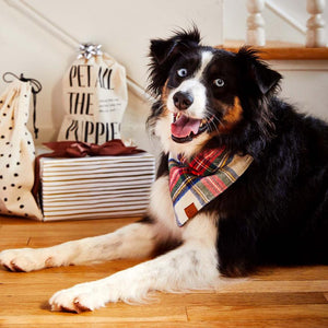 Regent Plaid Flannel Dog Bandana on Model 2 by Fetch Shops