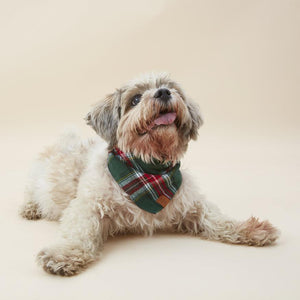 Holly Jolly Plaid Flannel Dog Bandana on Model 2 by Fetch Shops