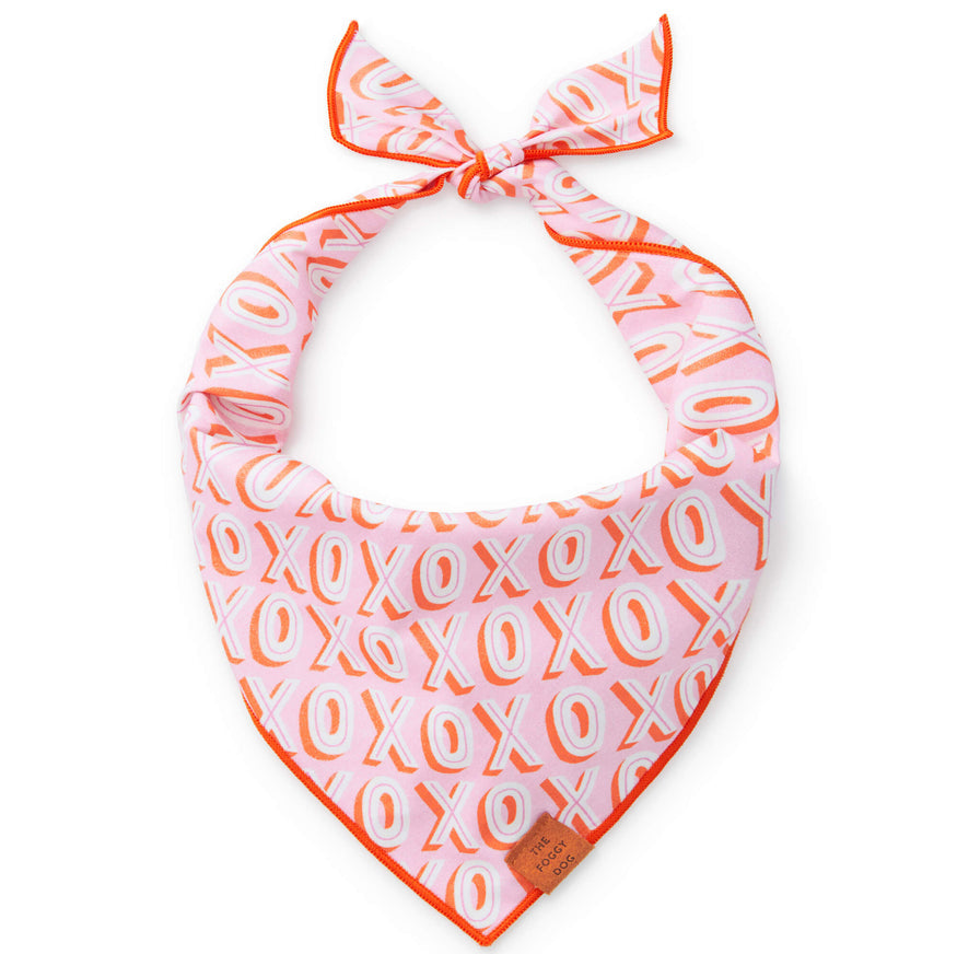 
                
                    Load image into Gallery viewer, Hugs &amp;amp; Kisses Dog Bandana by Fetch Shops
                
            