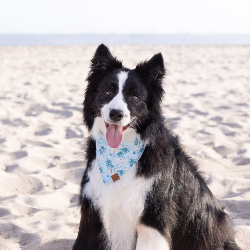 
                
                    Load image into Gallery viewer, Retro Hawaii Dog Bandana on Model by Fetch Shops
                
            