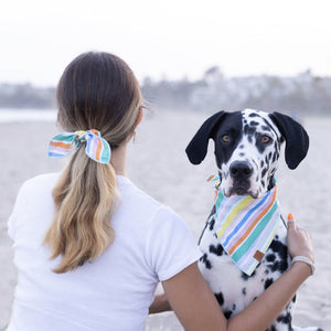 
                
                    Load image into Gallery viewer, Umbrella Stripe Dog Bandana on Model by Fetch Shops
                
            