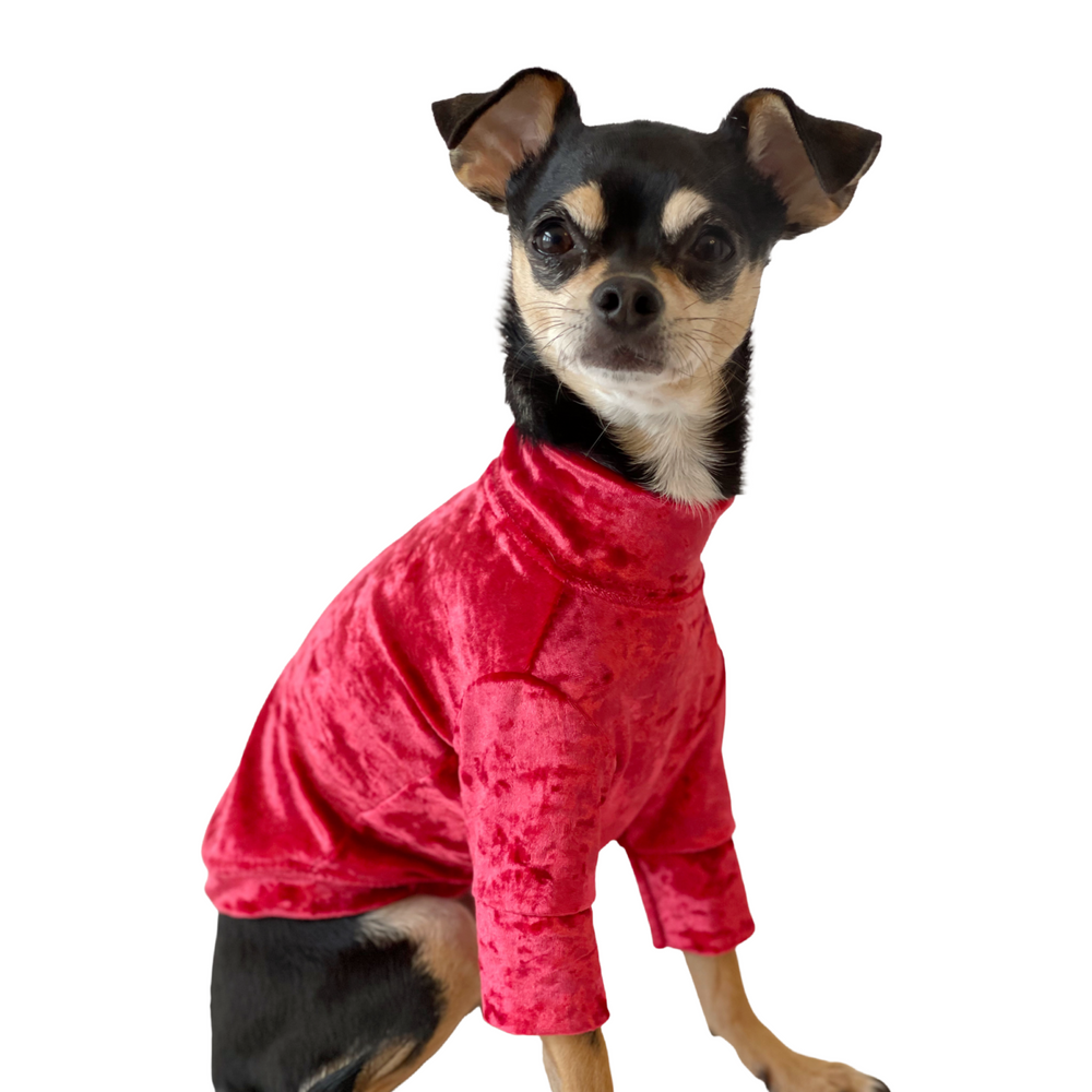 
                
                    Load image into Gallery viewer, Crushed Velor Holiday Long Sleeve Dog Top in Red by Fetch Shops
                
            