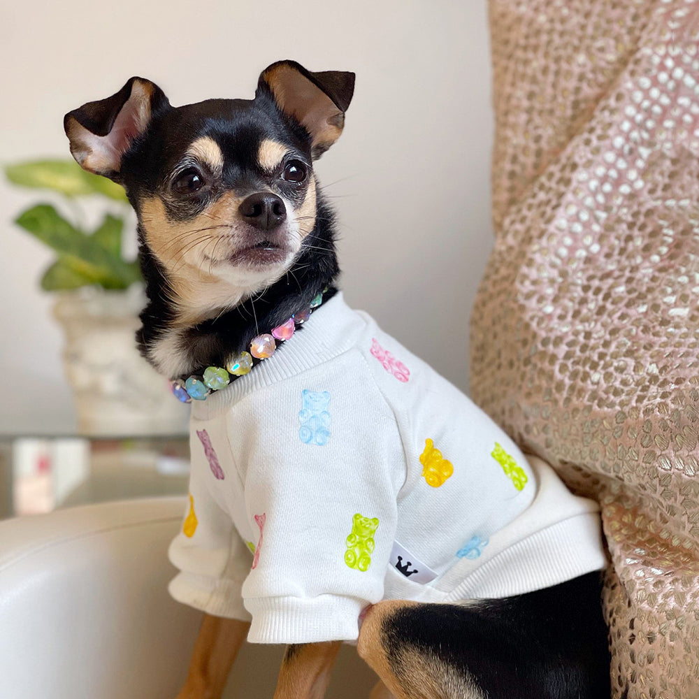 
                
                    Load image into Gallery viewer, Yummy Bear Crewneck Dog Top on Model 2 by Fetch Shops
                
            