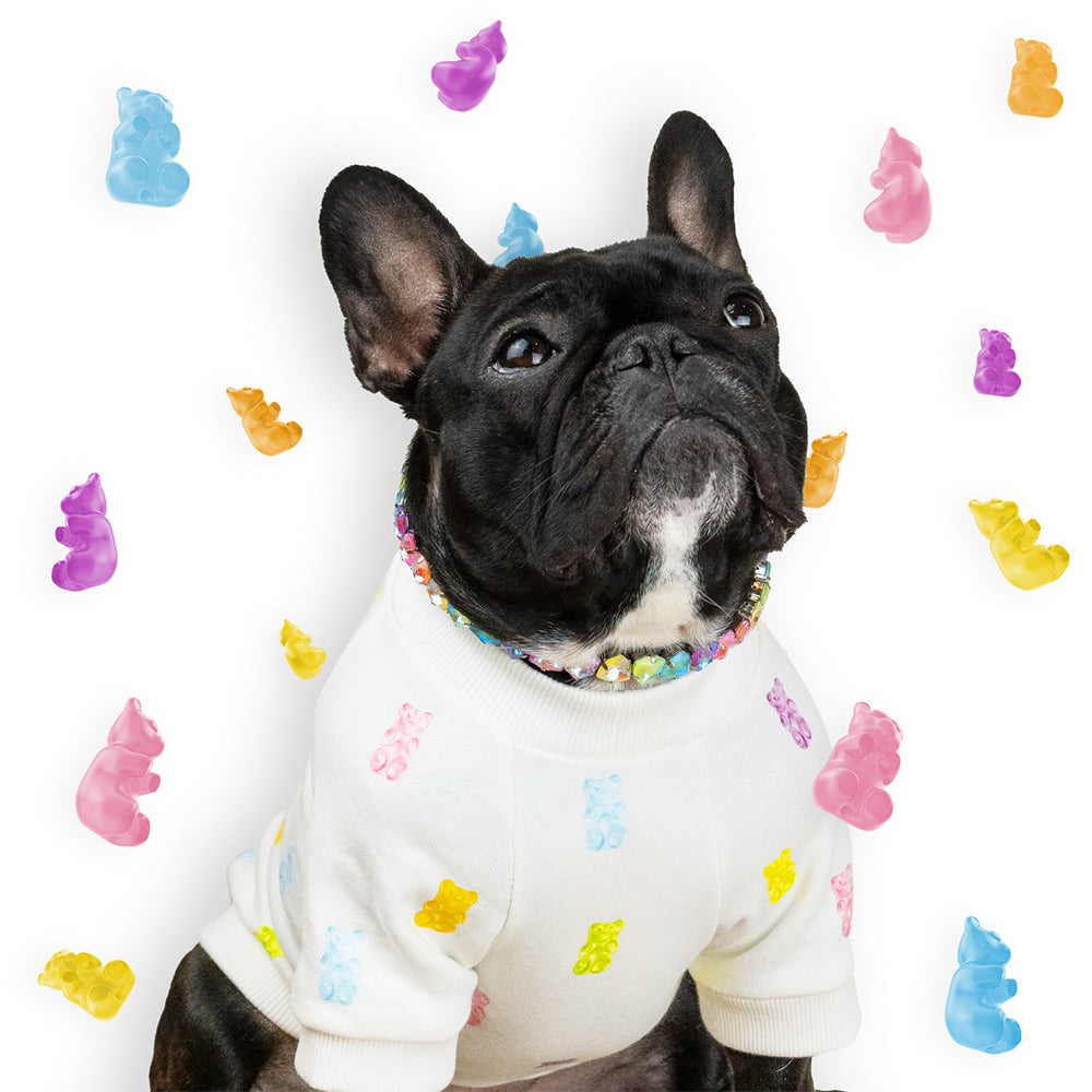 
                
                    Load image into Gallery viewer, Yummy Bear Crewneck Dog Top in White on Model 3 by Fetch Shops
                
            